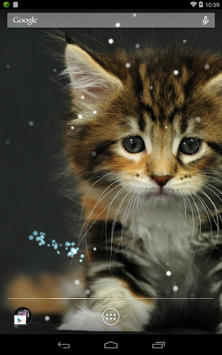 Q Cat Live Wallpaper - Image screenshot of android app