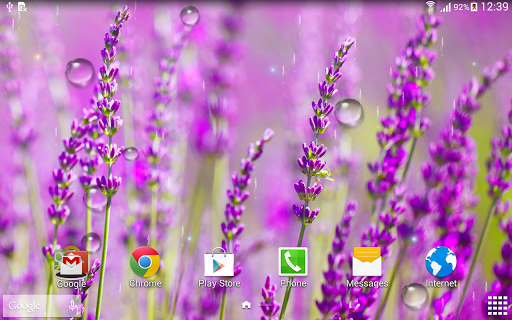 Autumn Flowers Live Wallpaper - عکس برنامه موبایلی اندروید