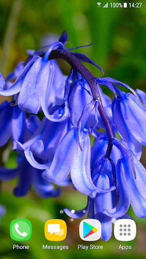 Beautiful Spring Flowers Live - عکس برنامه موبایلی اندروید