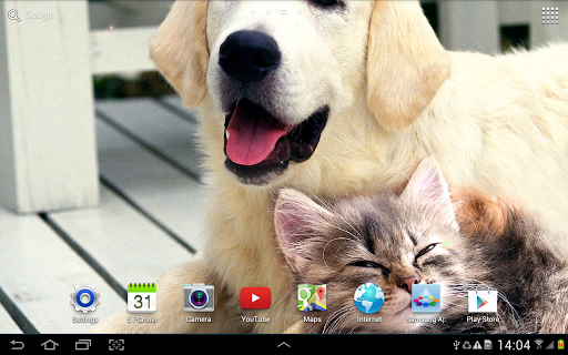Cat Live Wallpaper - Image screenshot of android app