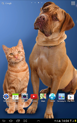 Cat Live Wallpaper - Image screenshot of android app