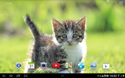 Cat Live Wallpaper - Image screenshot of android app