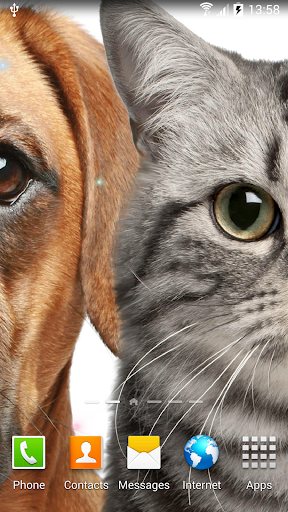 Cat Live Wallpaper - Image screenshot of android app