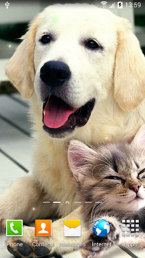 Cat Live Wallpaper - Image screenshot of android app