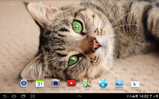 Cat Live Wallpaper - Image screenshot of android app