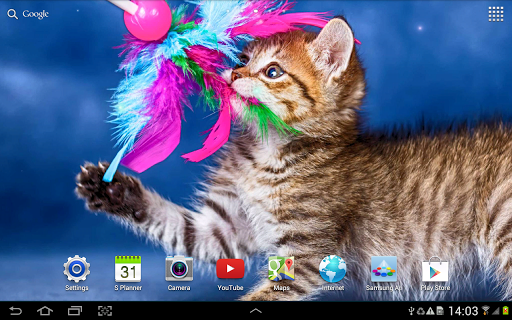 Cat Live Wallpaper - Image screenshot of android app