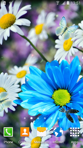 Daisies Flowers Live Wallpaper - عکس برنامه موبایلی اندروید