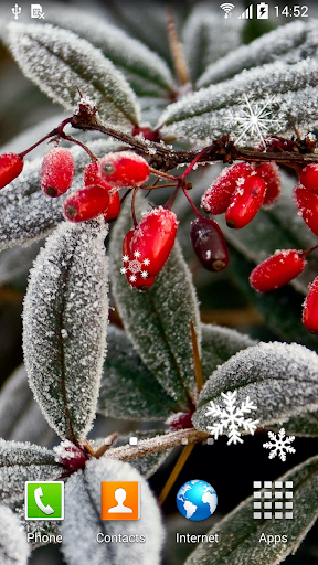 Winter Flowers Live Wallpaper - Image screenshot of android app