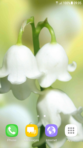 Lily of The Valley Wallpaper - عکس برنامه موبایلی اندروید