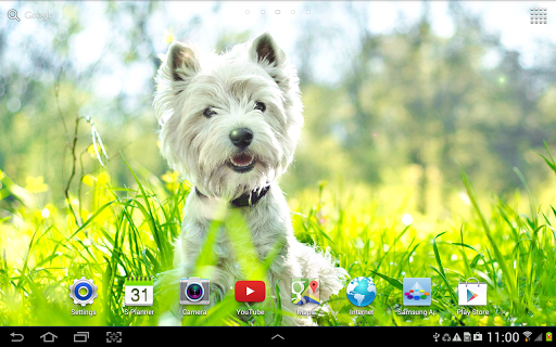 Dogs Wallpaper - Image screenshot of android app