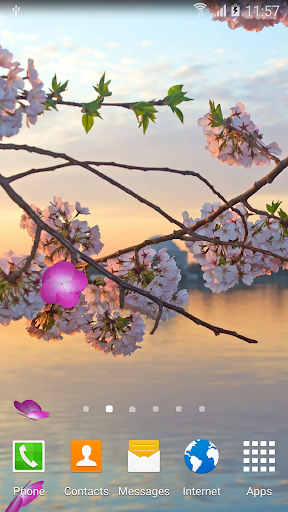 Sakura Garden Live Wallpaper - عکس برنامه موبایلی اندروید