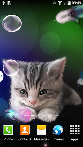 Sleepy Kitten Wallpaper - عکس برنامه موبایلی اندروید