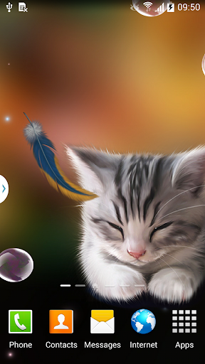 Sleepy Kitten Wallpaper - عکس برنامه موبایلی اندروید