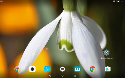 Spring Flowers Live Wallpaper - Image screenshot of android app