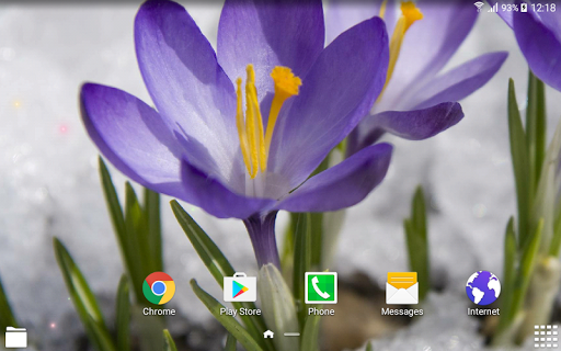 Spring Flowers Live Wallpaper - Image screenshot of android app