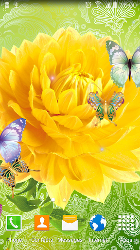 Cute Butterfly Live Wallpaper - عکس برنامه موبایلی اندروید