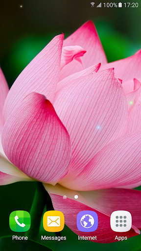 Tropical Flower Live Wallpaper - Image screenshot of android app