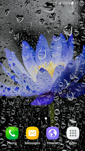 Tropical Flower Live Wallpaper - Image screenshot of android app