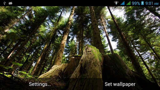 Nature Live Images - Image screenshot of android app