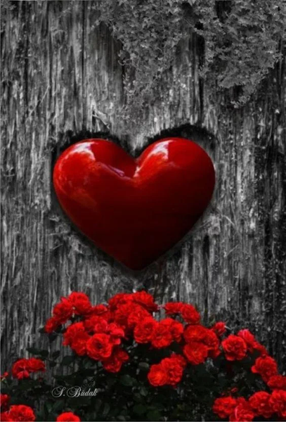 I love you images GIFs 4K HD - Image screenshot of android app