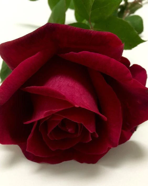 I love you images GIFs 4K HD - Image screenshot of android app