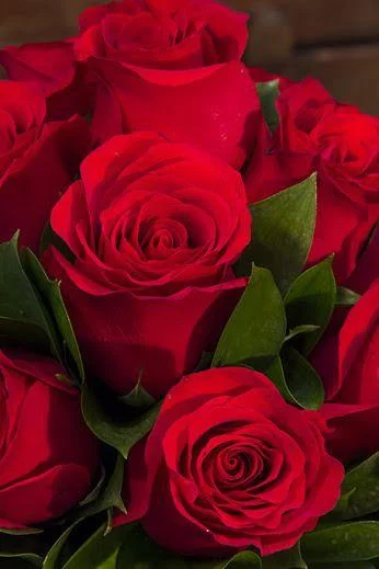 I love you images GIFs 4K HD - Image screenshot of android app