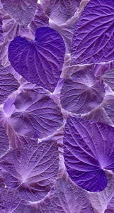 Purple Aesthetic Wallpaper::Appstore for Android