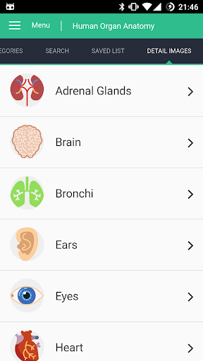Human Organs Anatomy Reference - Image screenshot of android app