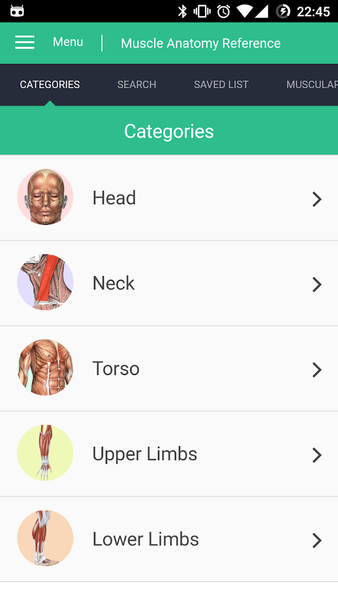 Muscle Anatomy Reference Guide - Image screenshot of android app