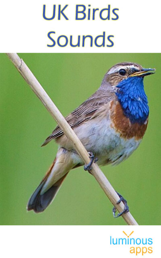 UK Birds Sounds Free - عکس برنامه موبایلی اندروید