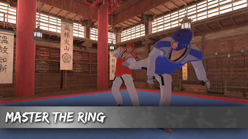 True Taekwondo - Gameplay image of android game