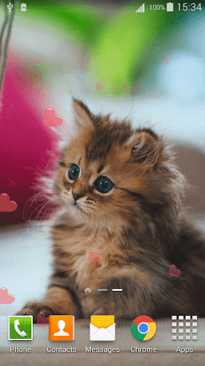 Cute Pets Live Wallpaper - Image screenshot of android app