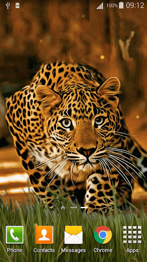 Leopard Live Wallpaper for Android - Download