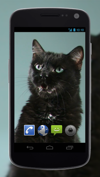 4K Puma vs Cat Video Live Wallpaper - Image screenshot of android app