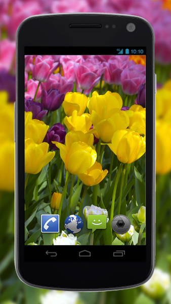 4K Flower Glade Video Live Wallpapers - Image screenshot of android app