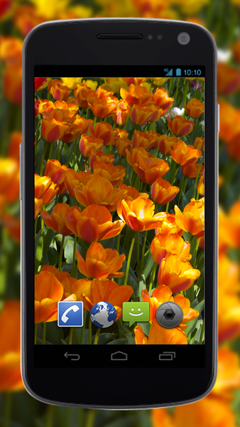 4K Flower Glade Video Live Wallpapers - Image screenshot of android app