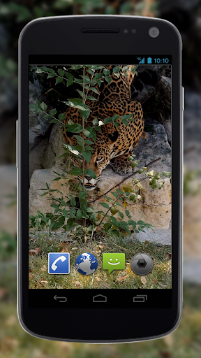 4K Jaguar Live Wallpaper - Image screenshot of android app