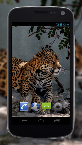 4K Jaguar Live Wallpaper - Image screenshot of android app