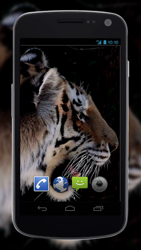 4K MightyTiger Video Live Wallpaper - Image screenshot of android app