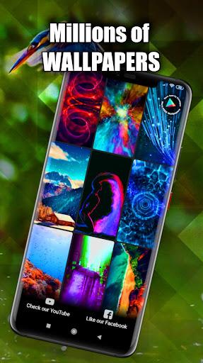 Birds Wallpaper Live ۳D/HD/۴K - عکس برنامه موبایلی اندروید