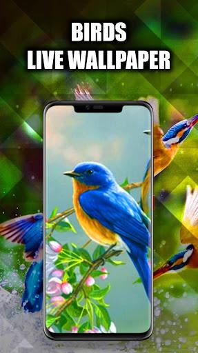 Birds Wallpaper Live 3D/HD/4K - Image screenshot of android app