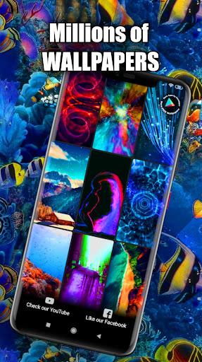 Fish Wallpaper Live HD/۳D/۴K - عکس برنامه موبایلی اندروید