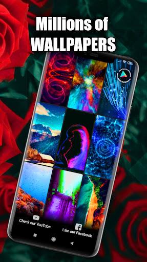 Rose Wallpaper Live HD/۳D/۴K - عکس برنامه موبایلی اندروید