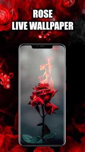 Red Rose Wallpaper Live HD/3D - Image screenshot of android app