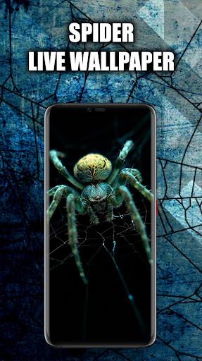 Spider Wallpaper Live HD/3D/4K - Image screenshot of android app