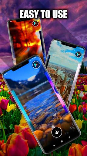 Tulip Wallpaper Live HD/3D/4K - Image screenshot of android app