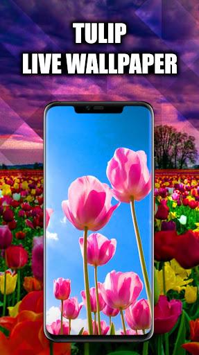 Tulip Wallpaper Live HD/3D/4K - Image screenshot of android app