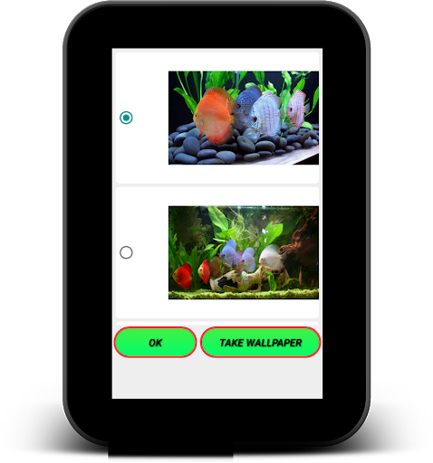 Discus Fish Live Wallpaper - عکس برنامه موبایلی اندروید