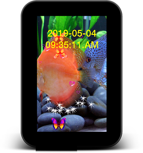 Discus Fish Live Wallpaper - عکس برنامه موبایلی اندروید