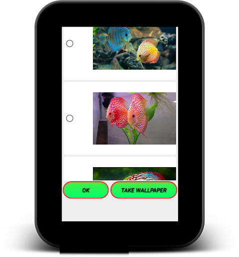Discus Fish Live Wallpaper - عکس برنامه موبایلی اندروید